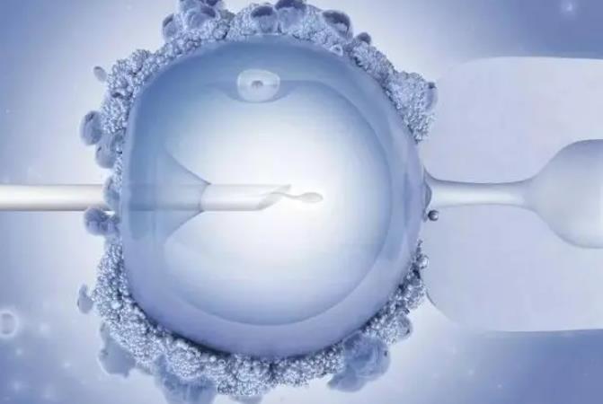 胚胎移植后的住院保胎黄金时间是什么时候
