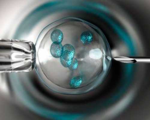 国内供卵做几代试管,好孕传递!老司机讲述乌克兰MINI医院试管婴儿经历