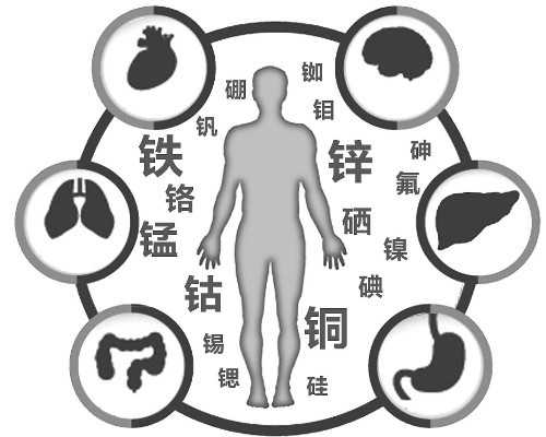 国内代生什么价格是多少,不要盲目去做试管婴儿了，其实这项技术还是存在一定的缺点