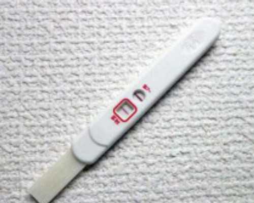 中国试管婴儿提供供卵么,国内做试管婴儿生儿子价格要多少？