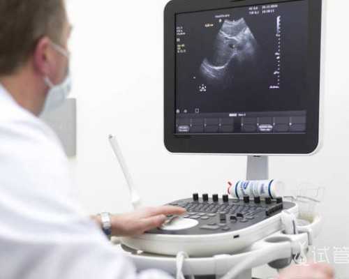 国内供卵怎么收费的,初学英语先学什么内容（初学英语先学什么）