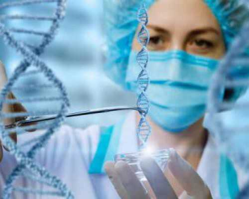 国内预约供卵流程图,泰国拉玛九医院试管婴儿技术怎么样 是私立还是公立