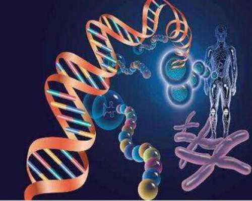 国内供卵多少费用一次,**子**需要多少钱费用因人而异