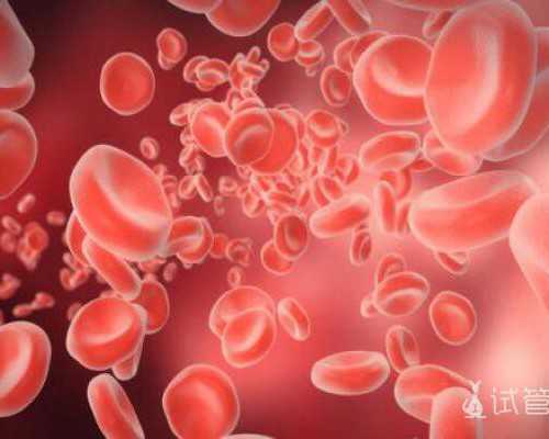 国内供卵生殖,借卵试管婴儿可以选择男女性别吗?借卵试管需要多少钱?