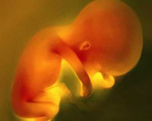 中国供卵机构名单,蚌医一附院试管婴儿价格参考2026助孕费用筹算指南