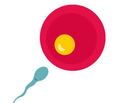 国内哪些医院可以供卵,iui人工授精手术前女性都要做哪些体检项目？