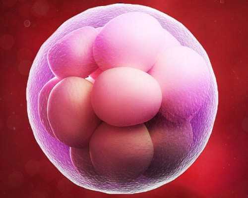 中国哪里有供卵机构,试管婴儿移植着床偏方揭秘，饮食、中药双管齐下效果好