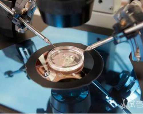 国内正规供卵咨询,日照试管婴儿医院大全2026助孕机构费用、*率排名