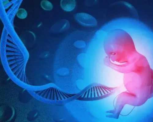 国内哪家试管给供卵,2026年试管*可以做吗附详细方法