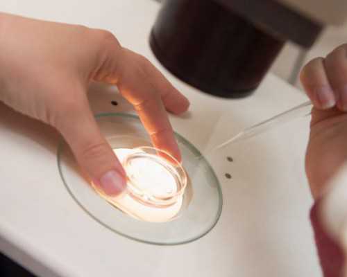 国内哪里可以排队供卵的,为什么90%的试管宝宝出*后容易得糖尿病?