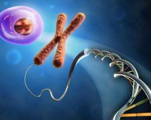 国内代生帮生孩子,黄冈正规助孕中心哪些不用排队