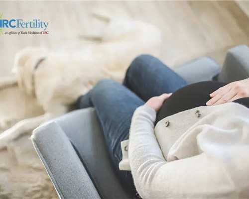 全国供卵中心在哪里,试管移植后要注意什么“黄金48小时”你一定要抓住