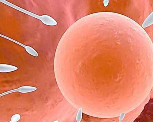 国内代生包成功,哈萨克斯坦试管婴儿成功率多少呢，试管收费明细！