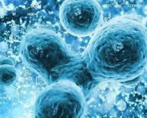 国内代生的价格,血友病做三代试管婴儿费多少钱