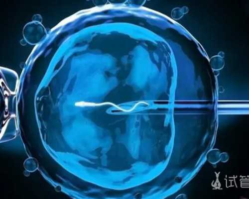 国内供卵做几代试管,6种儿童退烧药跌下神坛，最后3类被药监局拉入黑名单