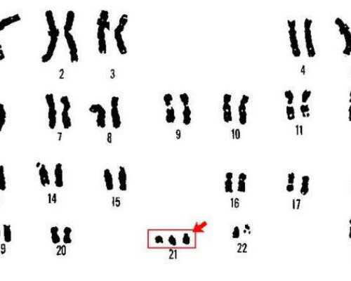 国内有供卵的医院有哪些,试管一次*的几率大吗？主要受这3大因素影响！