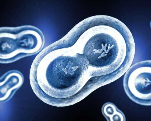 国内供卵三代试管婴儿咨询,试管婴儿费用大约多少2026年