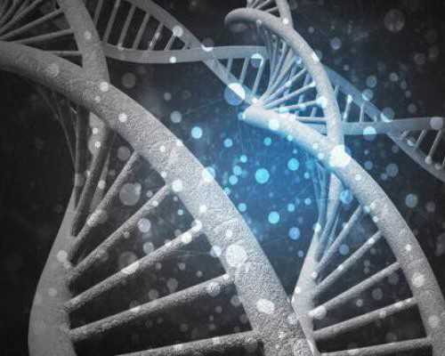 国内有正规的代孕机,去医院人工受孕多少钱一次,做一次人工受孕大概多少钱