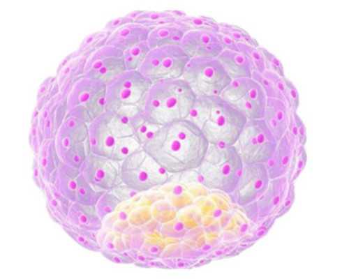 国内供精供卵需要多少钱,宋仲基在奔跑吧兄弟的第几季第几期（宋仲基奔跑吧兄弟哪一期）