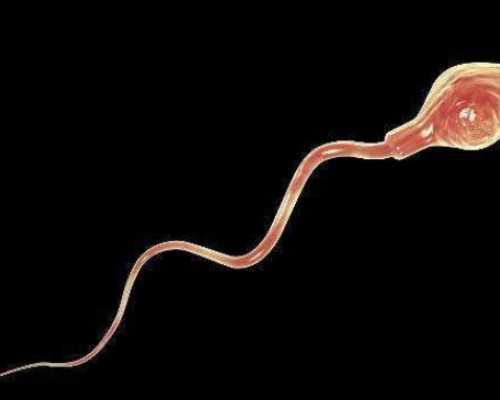 国内供卵的费用多少,手机号查快递电脑入口（仅凭手机号可以查快递吗）