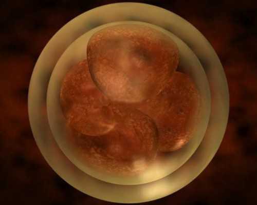 国内哪里可以供卵,华西二院取精费用不高！加电动仪器按摩得这个数