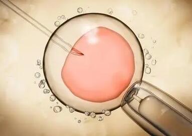 为什么二代试管养囊成功率低，试管婴儿移植几个胚胎成功率高