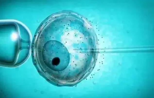 很多人说做试管婴儿鲜胚必须一次性移植两个是真的吗