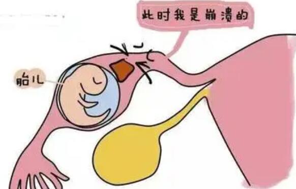2024年秦皇岛试管婴儿哪个医院技术比较好附上医院推荐
