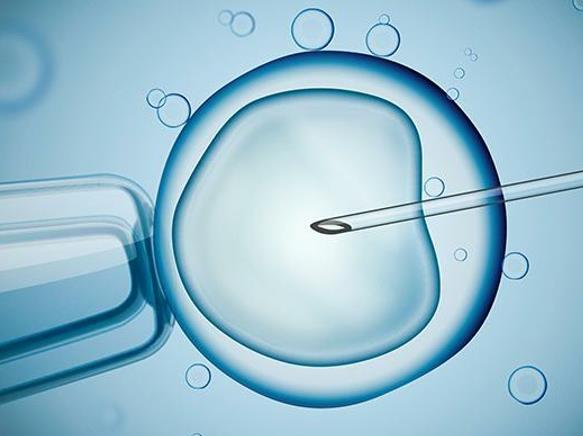 试管移植囊胚也会失败，再次移植的具体时间因人而异